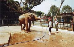 28 VOYAGE A ORAN 2005 LE ZOO